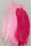Feathers Pink mix 15 PC 