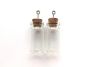 Mini glazen flesjes met kurk & schroef 2 ST 12423-2307 22x40mm
