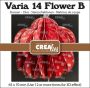 Crealies Varia 3D fleur B CLVAR14 65x70mm (01-24)