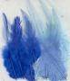 Feathers Blue mix 15 PC 