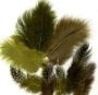 Feathers Marabou&Guinea mix forest 18 PC 