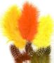 Feathers Marabou&Guinea mix orange yellow 18 PC 