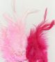 Feathers Pink mix 15 PC 
