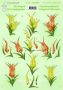 LeCrea - 3D decoupage sheets Tulips per 10 sheets 50.0508 10 vellen