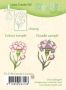 LeCrea - Doodle clear stamp Carnation 55.3196
