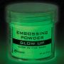 Ranger Embossing Powder 34ml - Glow up EPJ79095 (05-22)