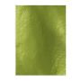 Tonic Studios spiegelkarton - glans - holly green 5 vl A4 9446E